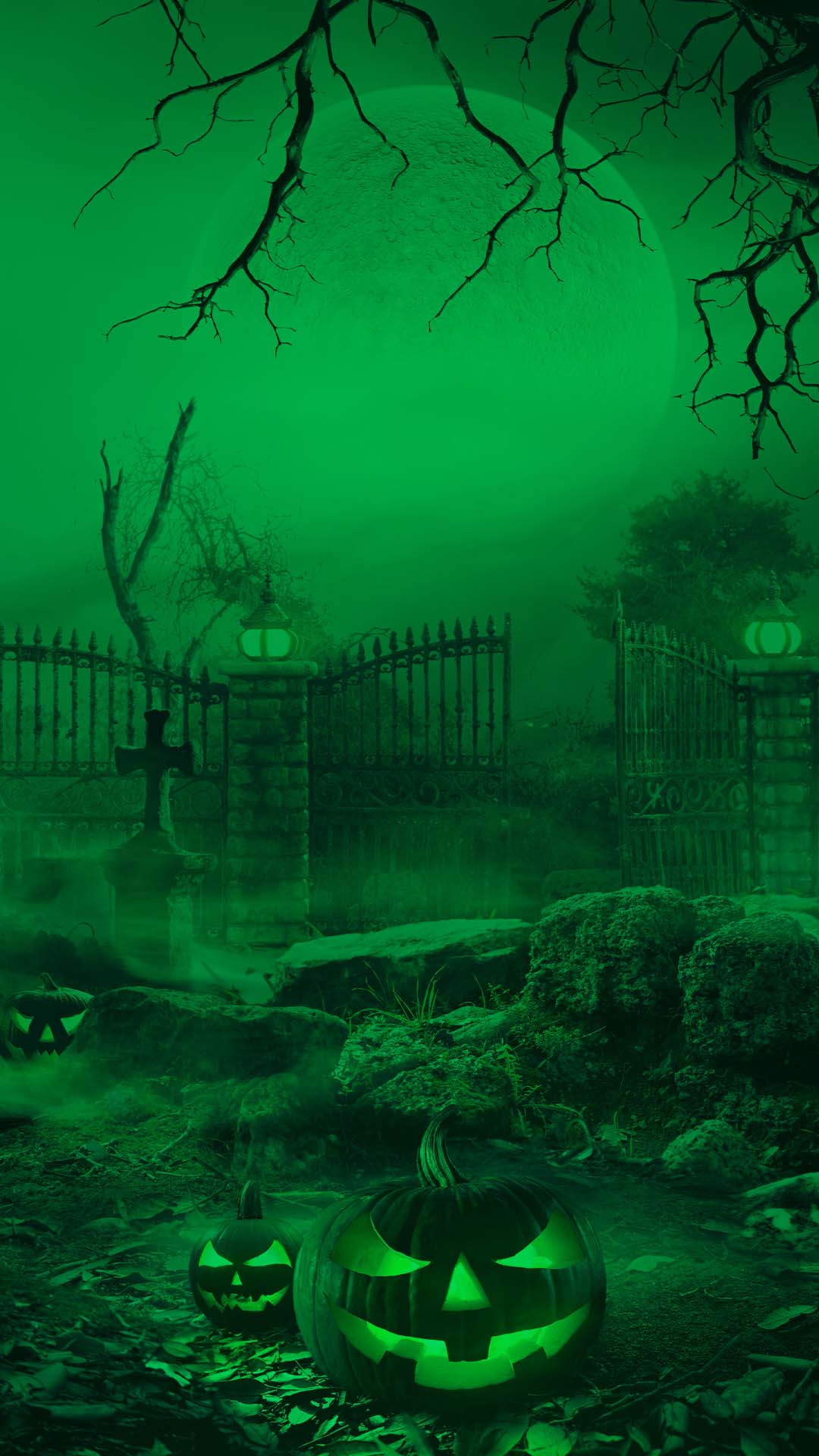 TOTO_Halloween_Background_9_16